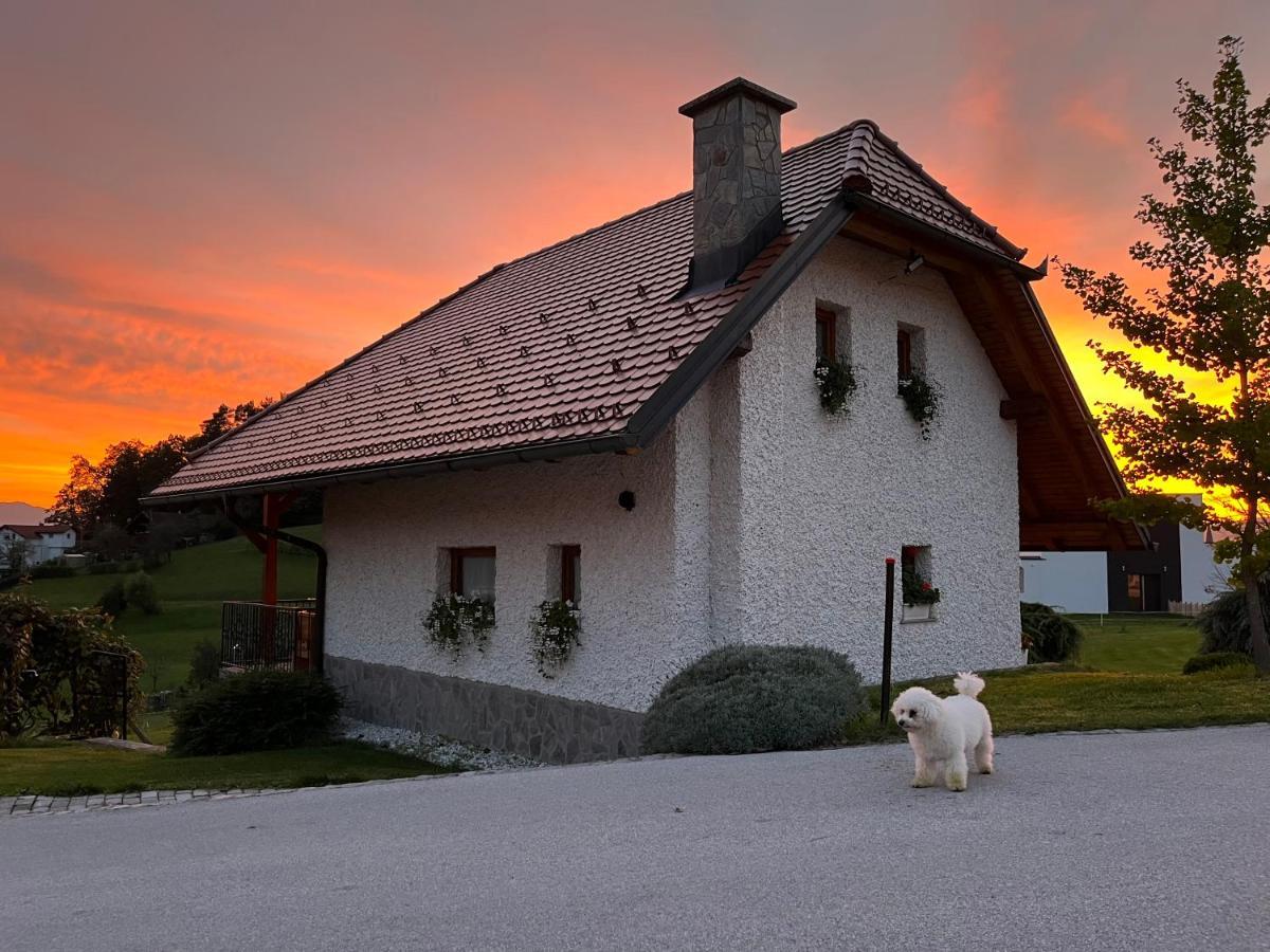 Holiday Home Dobrotin Vojnik Exterior photo